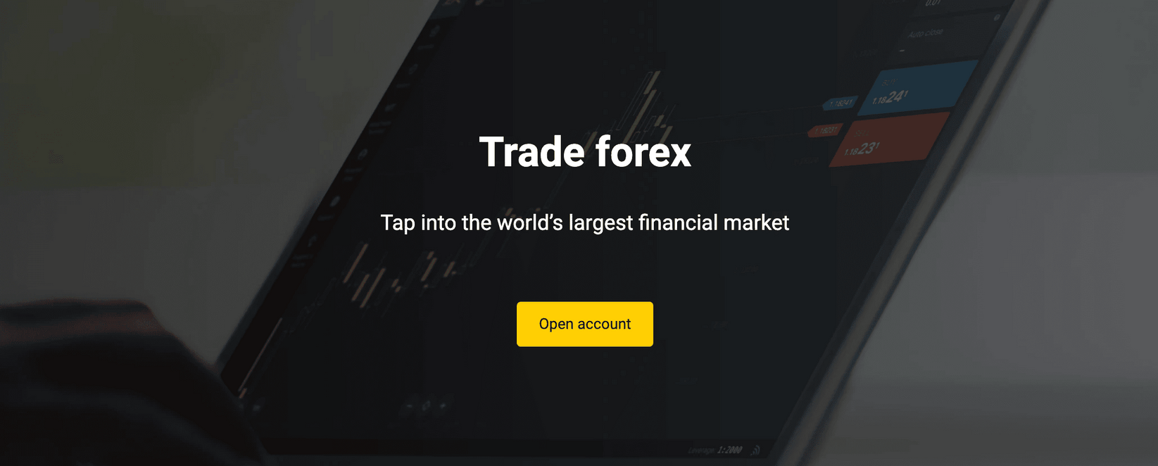 Вывод средств из Exness: обзор вывода средств